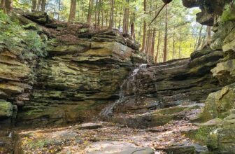 The Little Things Newsletter #443 – Life, laughter, and lots of great food!