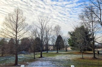 The Little Things Newsletter #447 – Life, laughter, and lots of great food!