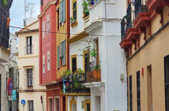 Looking back on 2024 and my goals for 2025