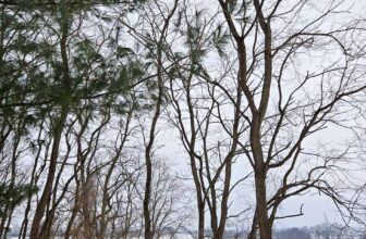 The Little Things Newsletter #453 – Life, laughter, and lots of great food!