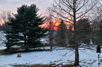 The Little Things Newsletter #455 – Life, laughter, and lots of great food!