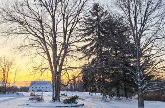 The Little Things Newsletter #457 – Life, laughter, and lots of great food!