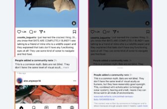 Meta, Now Fact-Check Free, Is Testing X-Style Community Notes