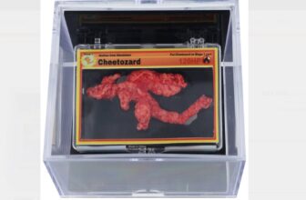 Someone Dropped Nearly $88,000 on a Pokémon Cheeto