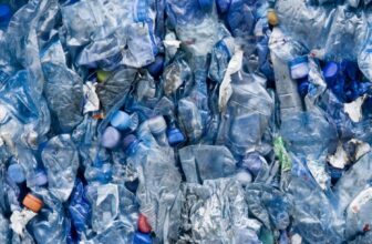 Scientists Sound the Alarm Over Plastics in Our Brains After Shocking Study