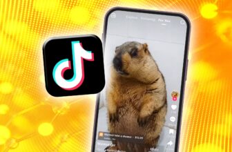 How to reset TikTok algorithm