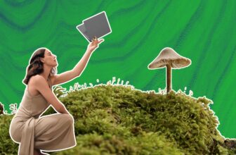 I touched grass and now space gray laptops make me sad