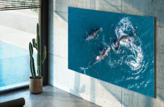 4 pricey TV add-ons and extras no one really needs