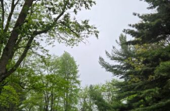 The Little Things Newsletter #469 – Life, laughter, and lots of great food!