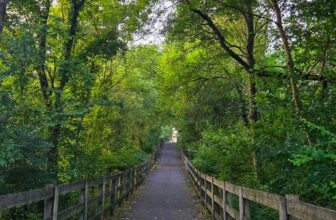 The Little Things Newsletter #479 – Life, laughter, and lots of great food!