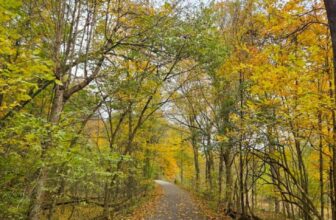 The Little Things Newsletter #492 – Life, laughter, and lots of great food!