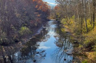 The Little Things Newsletter #497 – Life, laughter, and lots of great food!