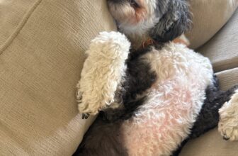 9.25 Friday Faves – The Fitnessista
